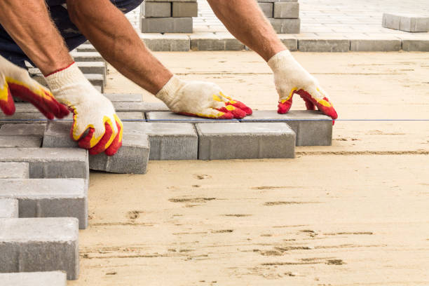 Reasons to Select Us for Your Driveway Paving Requirements in Albany, CA