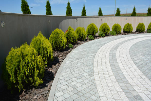 Albany, CA Driveway Pavers Company