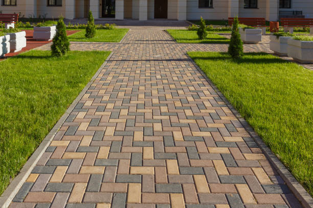 Driveway Repair Near Me in Albany, CA